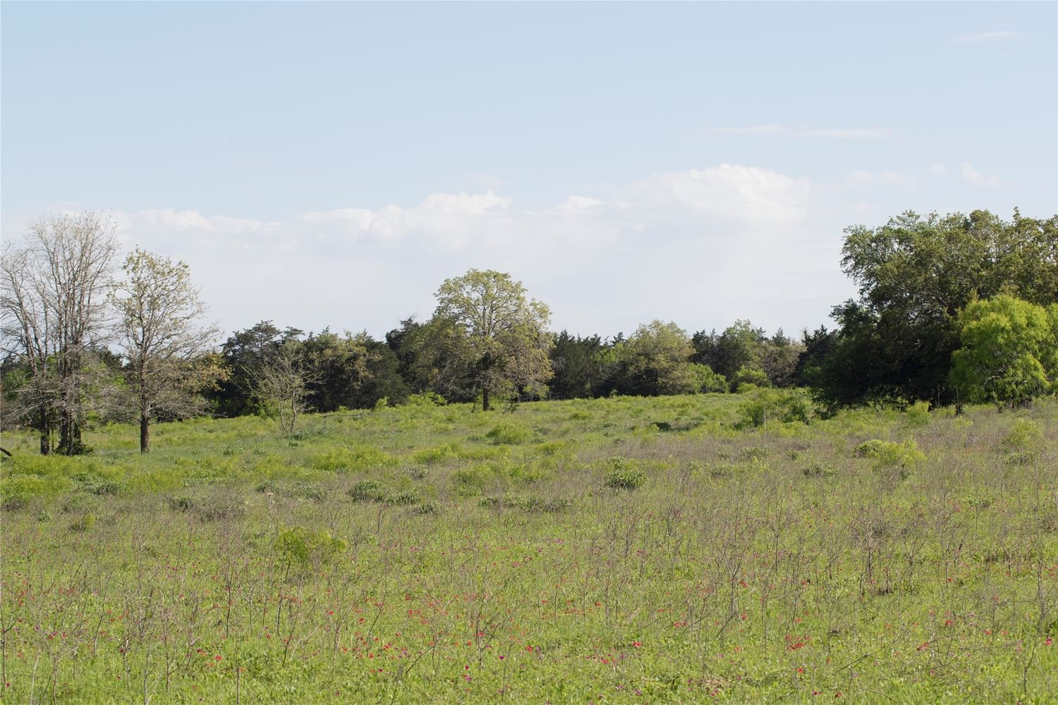 Real estate property located at Tract 5 Hunt, Fayette, Adam Zumwalt Surv A-118, Flatonia, TX, US