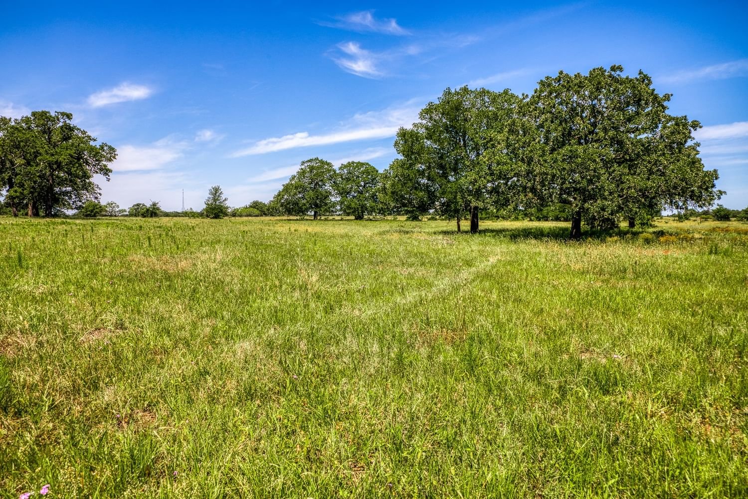 Real estate property located at TBD (140 acres) County Road 423, Burleson, N/A, Somerville, TX, US