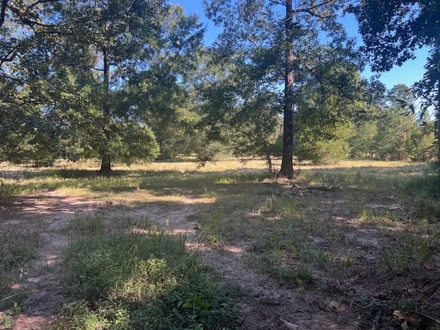 Real estate property located at TBD Galloway, Polk, N/A, Livingston, TX, US