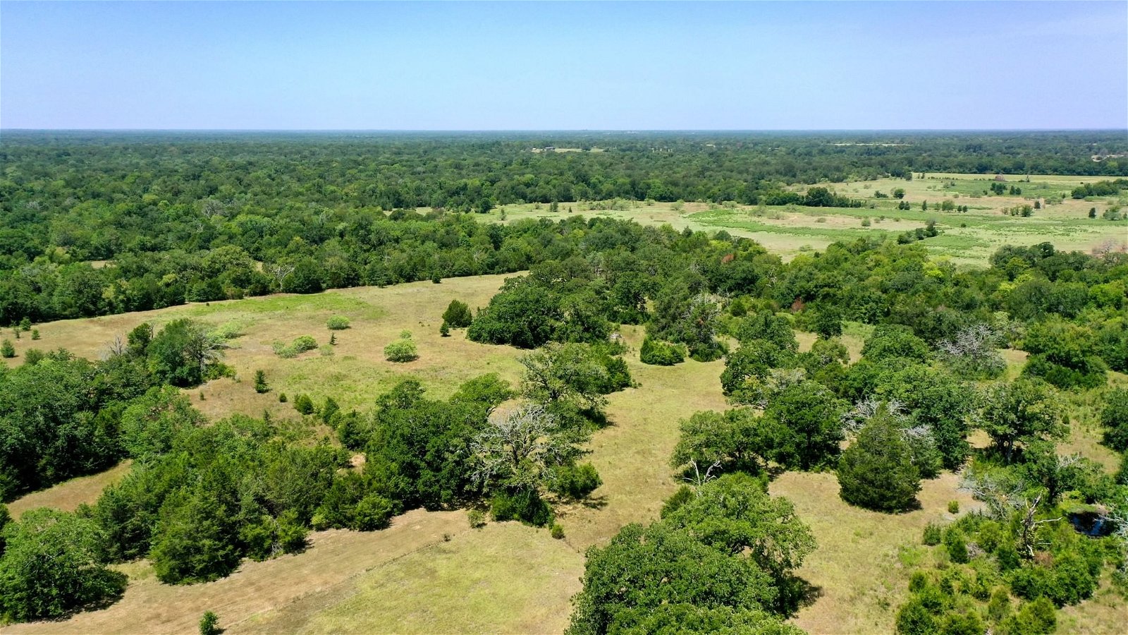 Real estate property located at TBD Hwy 90, Madison, Madisonville, TX, US