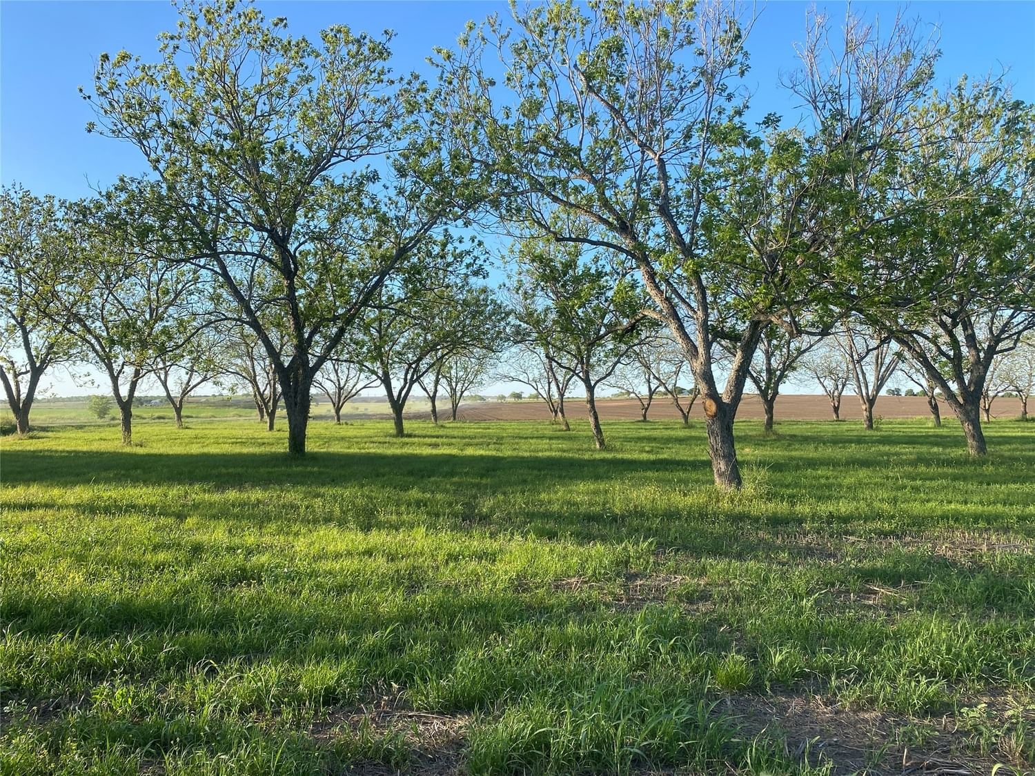 Real estate property located at TBD County Road Riverwood Road, Gonzales, Jose Maria Salinas 4 Leagues G, Gonzales, TX, US
