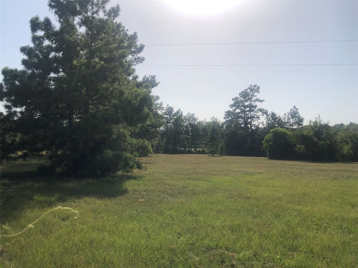 Real estate property located at TBD Cr 3575, Houston, Lovelady, TX, US