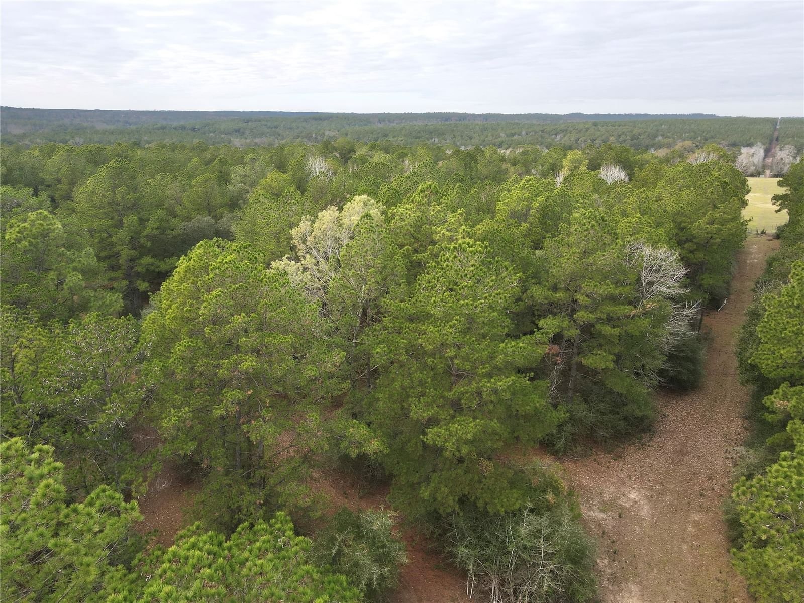 Real estate property located at TBD County Road 3260, Tyler, N/A, Colmesneil, TX, US