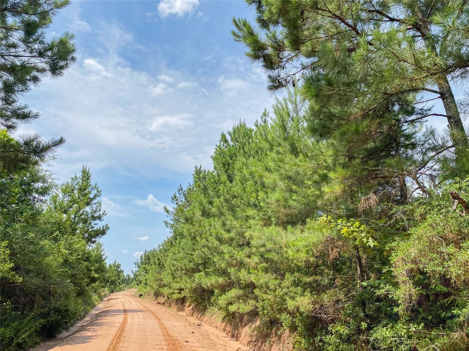 Real estate property located at 00000 Red Hollow Rd, Polk, Red Hollow, Leggett, TX, US