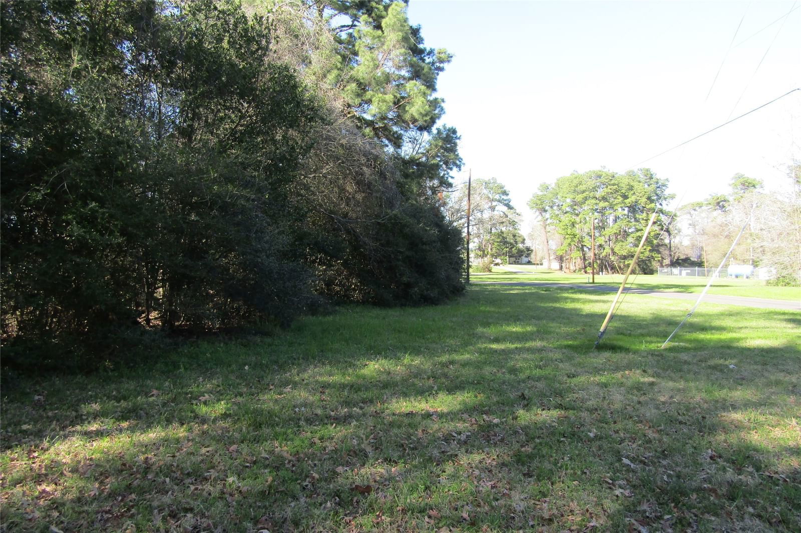 Real estate property located at TBD0 Chain, Polk, Pinwah Pine #1, Livingston, TX, US