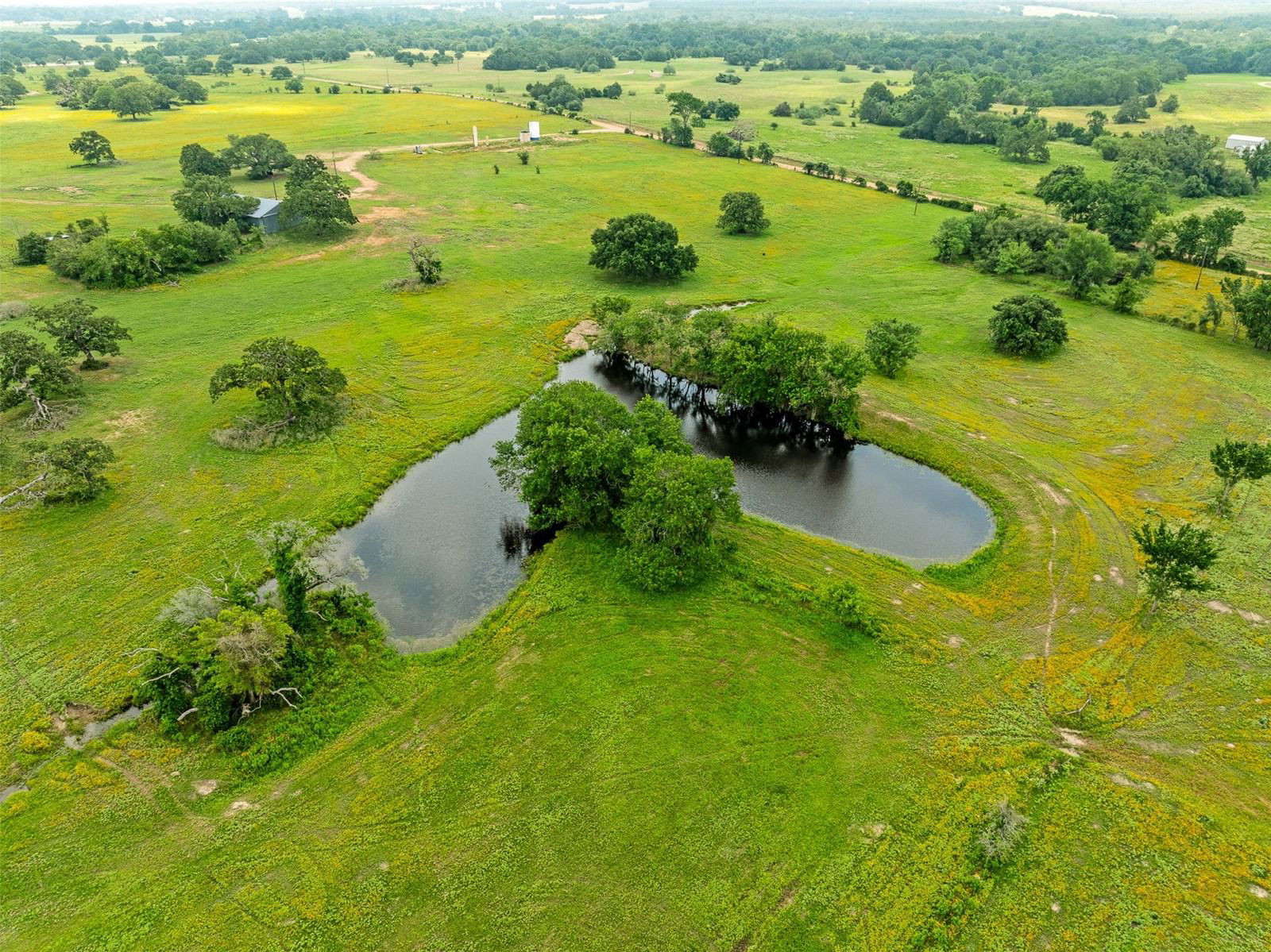 Real estate property located at TBD FM 141 - 43A, Lee, Freeman T A123 Tr #1, Giddings, TX, US