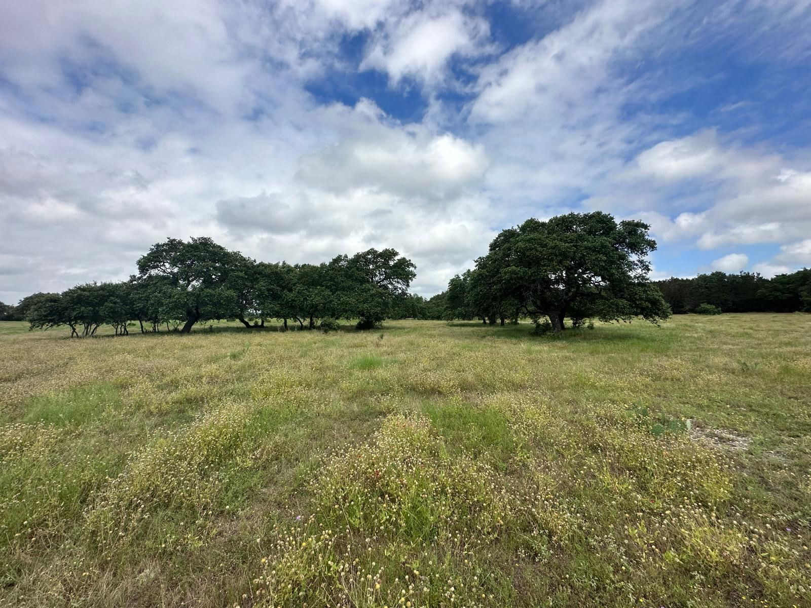 Real estate property located at TBD Lot 4 - County Road 340, Burnet, NA, Burnet, TX, US