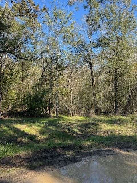 Real estate property located at 412 Cherokee Forest, Polk, Cherokee Forest Sec 2, Livingston, TX, US