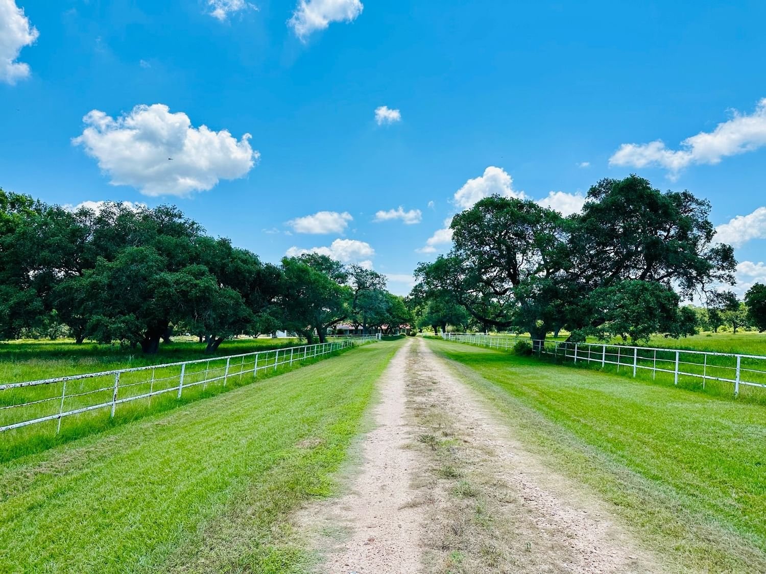 Real estate property located at 1516 FM 1160, Wharton, Metes and Bounds, Louise, TX, US