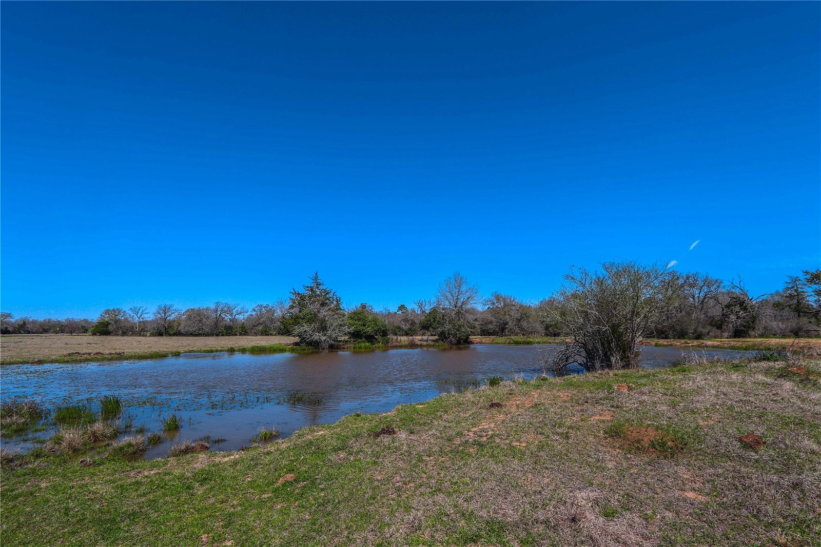 Real estate property located at 9239 Fm 1696, Grimes, Bedias, TX, US