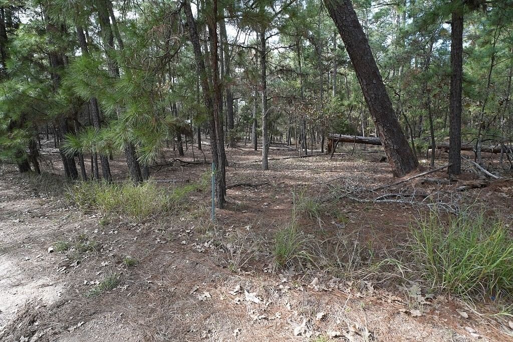 Real estate property located at 000 Red Fox, Fayette, Clear Lake Pines - Sec 4, La Grange, TX, US