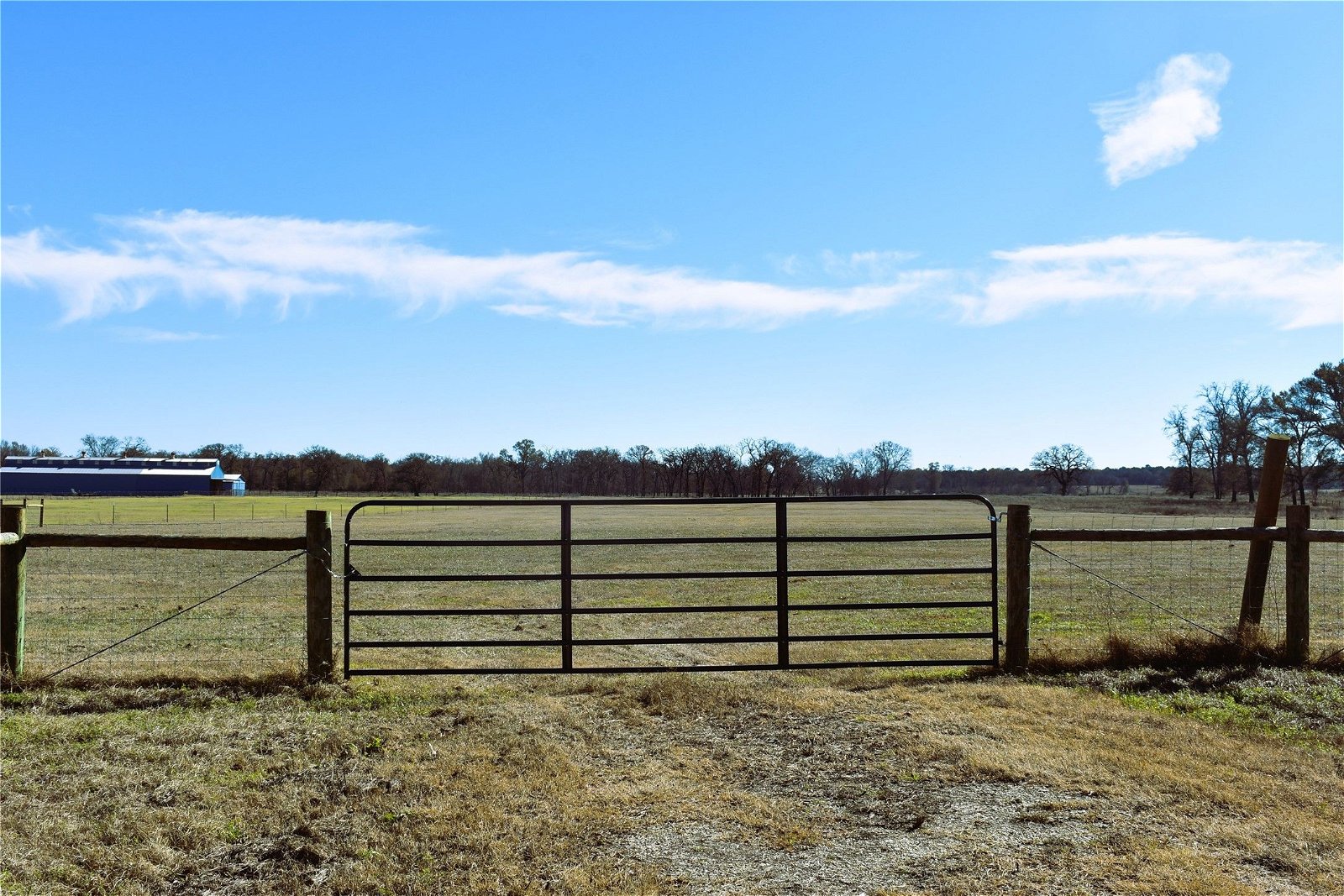 Real estate property located at 7552 County Road 231, Leon, Centerville, TX, US