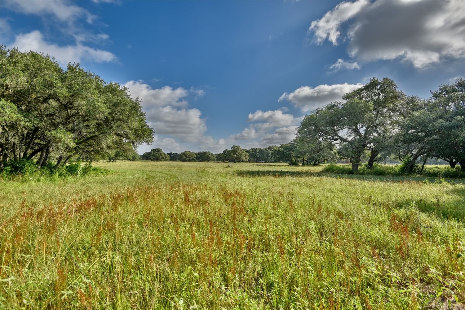 Real estate property located at TBD Jessica's Way, Colorado, Jessica Lane, Altair, TX, US