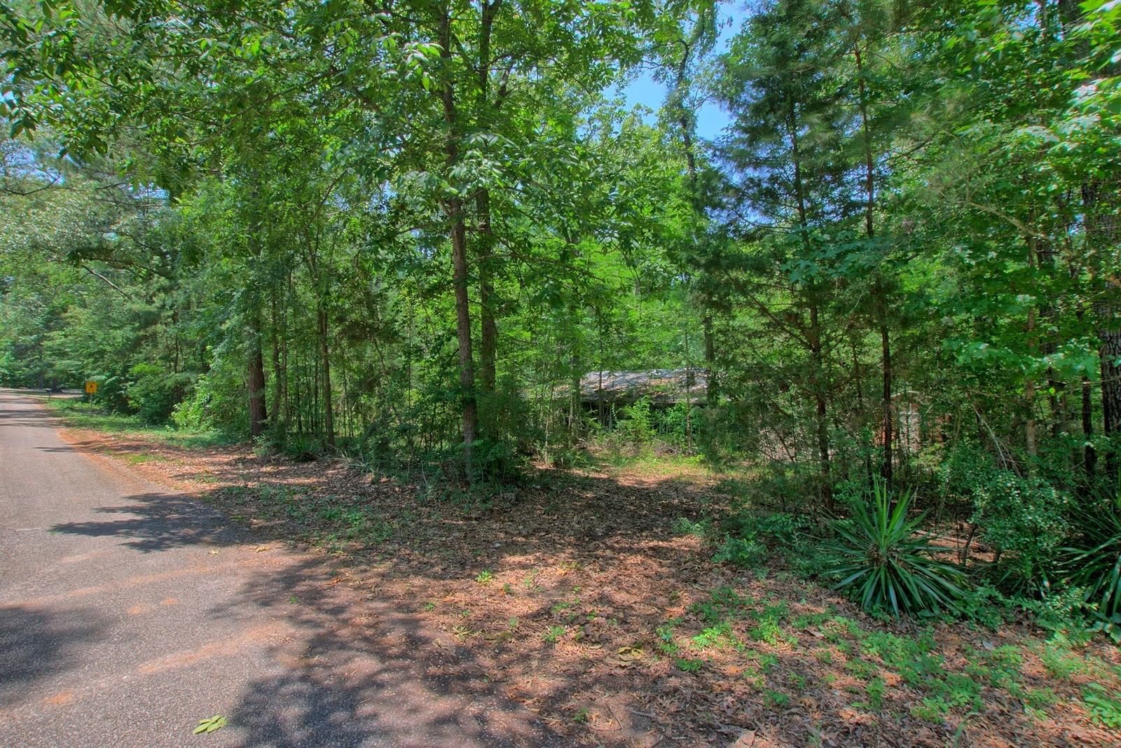 Real estate property located at 300 Forest, Sabine, Woodland Estate, Hemphill, TX, US