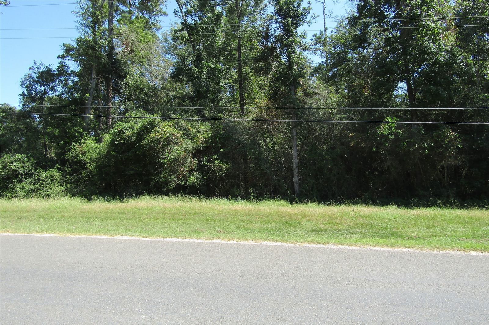 Real estate property located at TBD Cross Timbers, Polk, Forest Spgs Sec 2, Livingston, TX, US