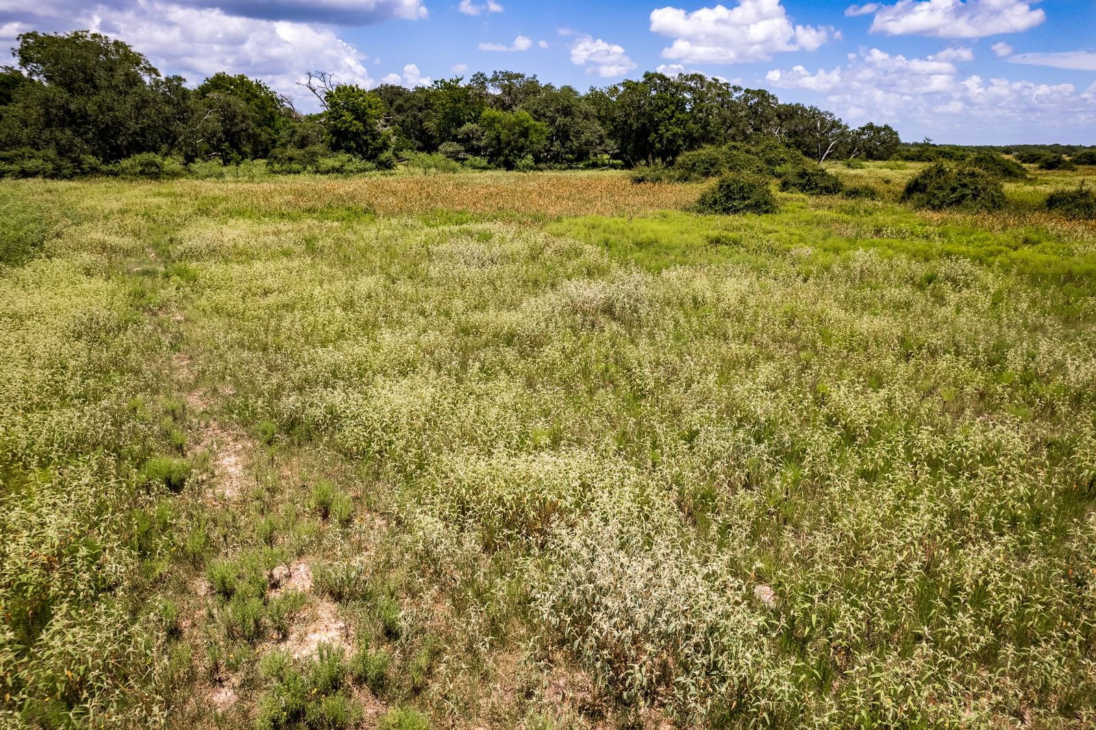 Real estate property located at Tract 2 41.5 Ac County Road 18, Lavaca, NA, Hallettsville, TX, US