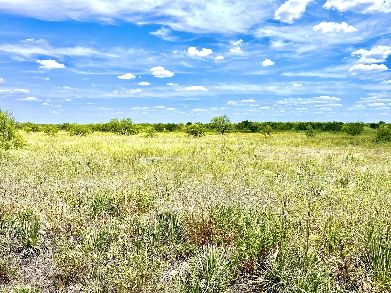 Real estate property located at TBD FM 707, Jones, Anson, Anson, TX, US