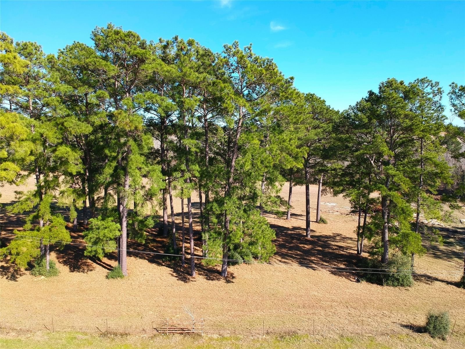 Real estate property located at TBD Lakeland Ranch Lot 378, Tyler, Lakeland Ranch, Hillister, TX, US