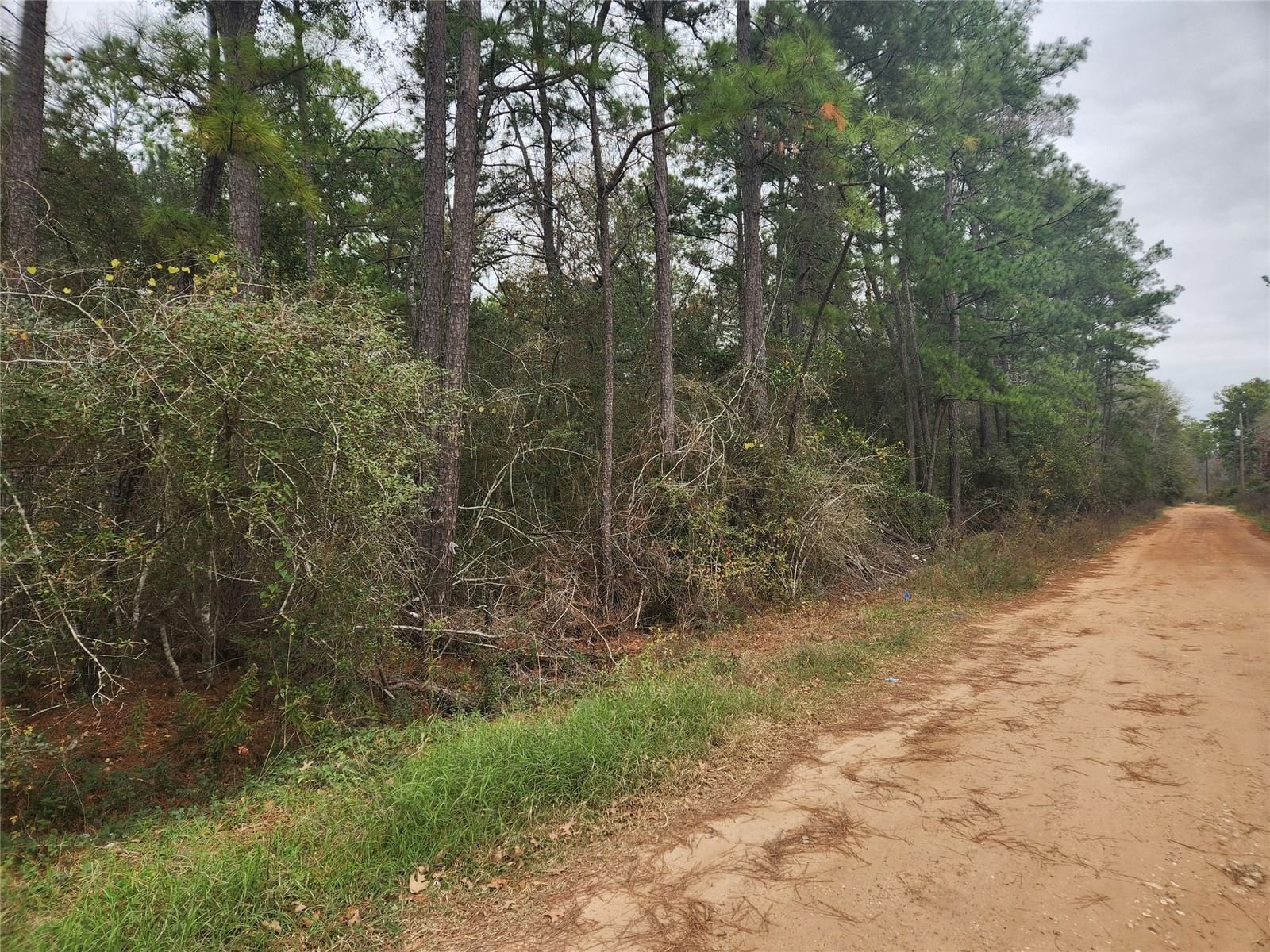 Real estate property located at Lot 38 White Oak, Grimes, Pinebrook, Plantersville, TX, US