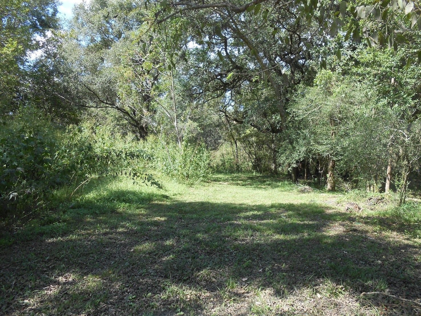 Real estate property located at 0 County Road 924, Brazoria, Sweeny, TX, US