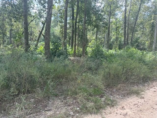 Real estate property located at LOT 64 George Jones, Polk, Wild Country Lakes Estates Sec, Livingston, TX, US