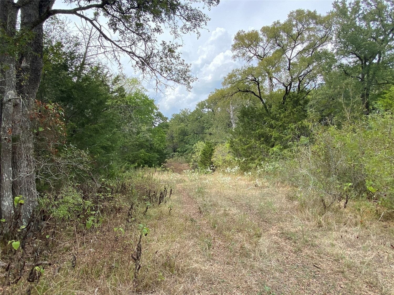 Real estate property located at 408 Paffen Road, Bastrop, A244 - Mccollum, Elias, Paige, TX, US