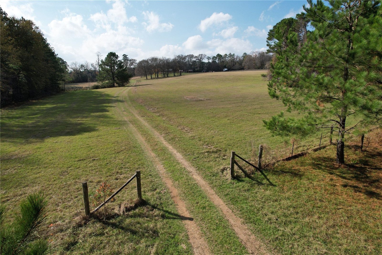 Real estate property located at TBD County Rd 1585, Houston, Grapeland, TX, US