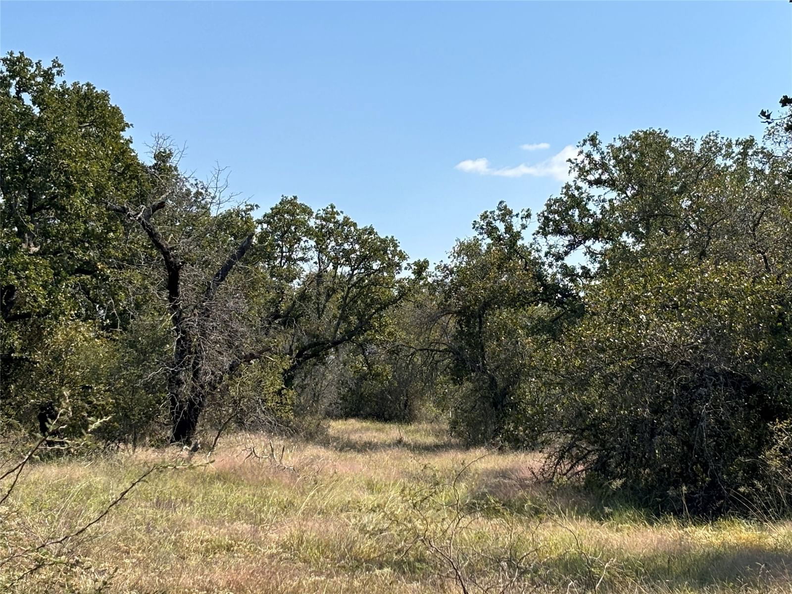 Real estate property located at 1603 CR 253, San Saba, UNK, Richland Springs, TX, US