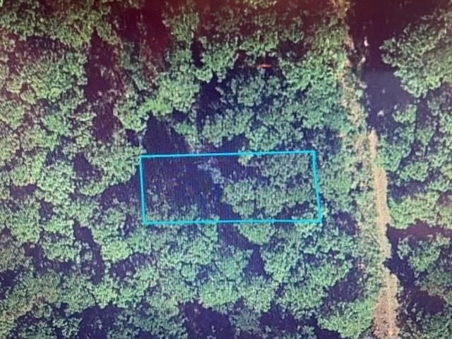 Real estate property located at lot 13 Bluebonnet, Grimes, Bluebonnet Ctry, Sec 3, Navasota, TX, US