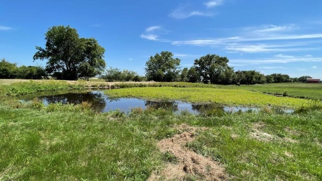 Real estate property located at TBD FM 2954 -White Rock Rd, Robertson, None, Bremond, TX, US