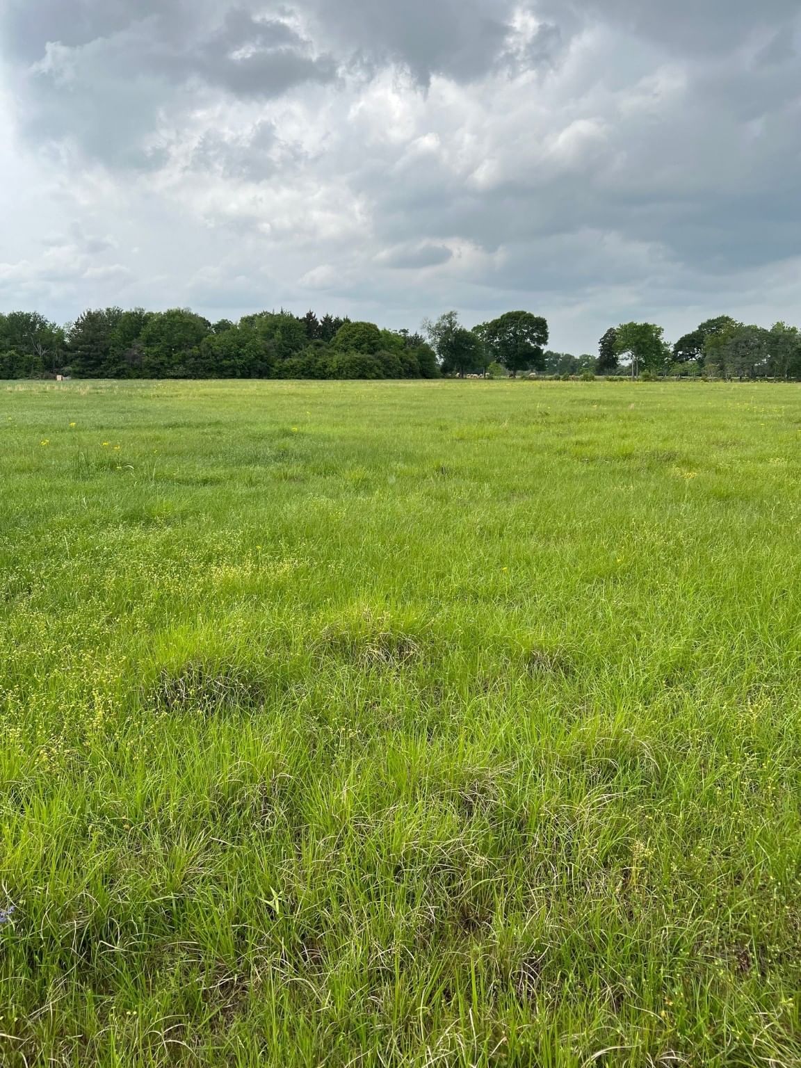 Real estate property located at 0 Hopfe, Harris, Harris County School Lands Sur, Hockley, TX, US