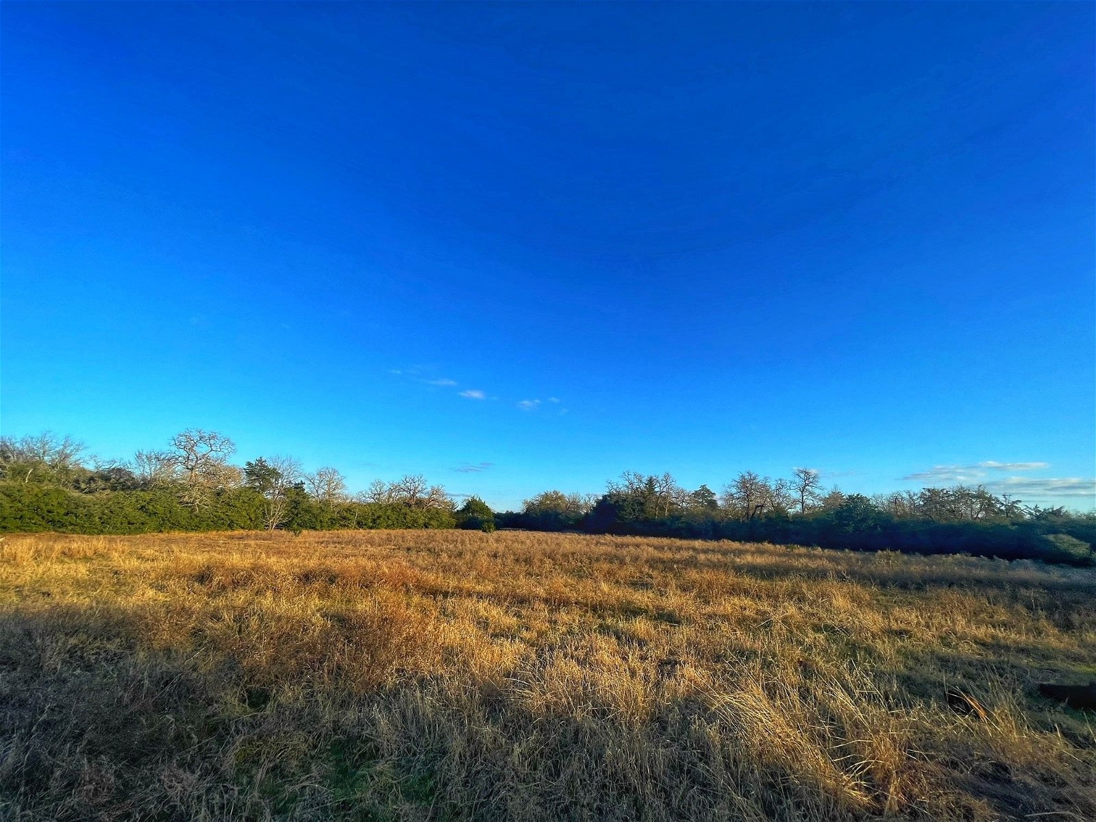 Real estate property located at 39 ac Fm 3, Leon, Normangee, TX, US