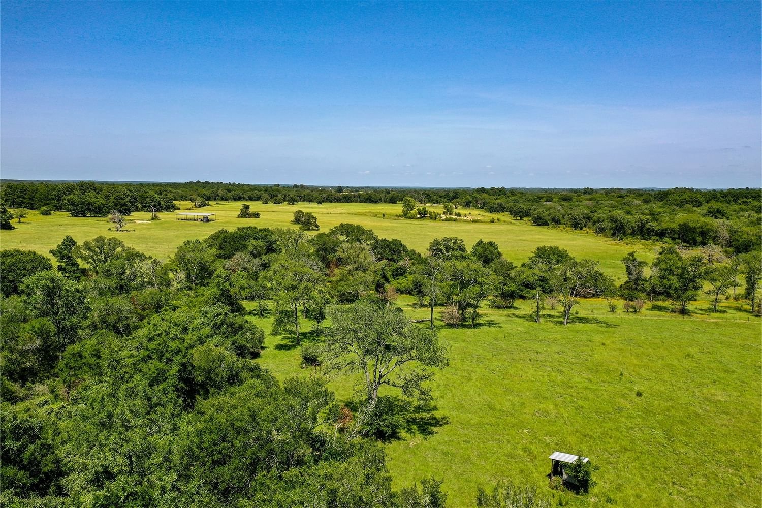 Real estate property located at 40 Acres County Road 227, Grimes, Bedias, TX, US
