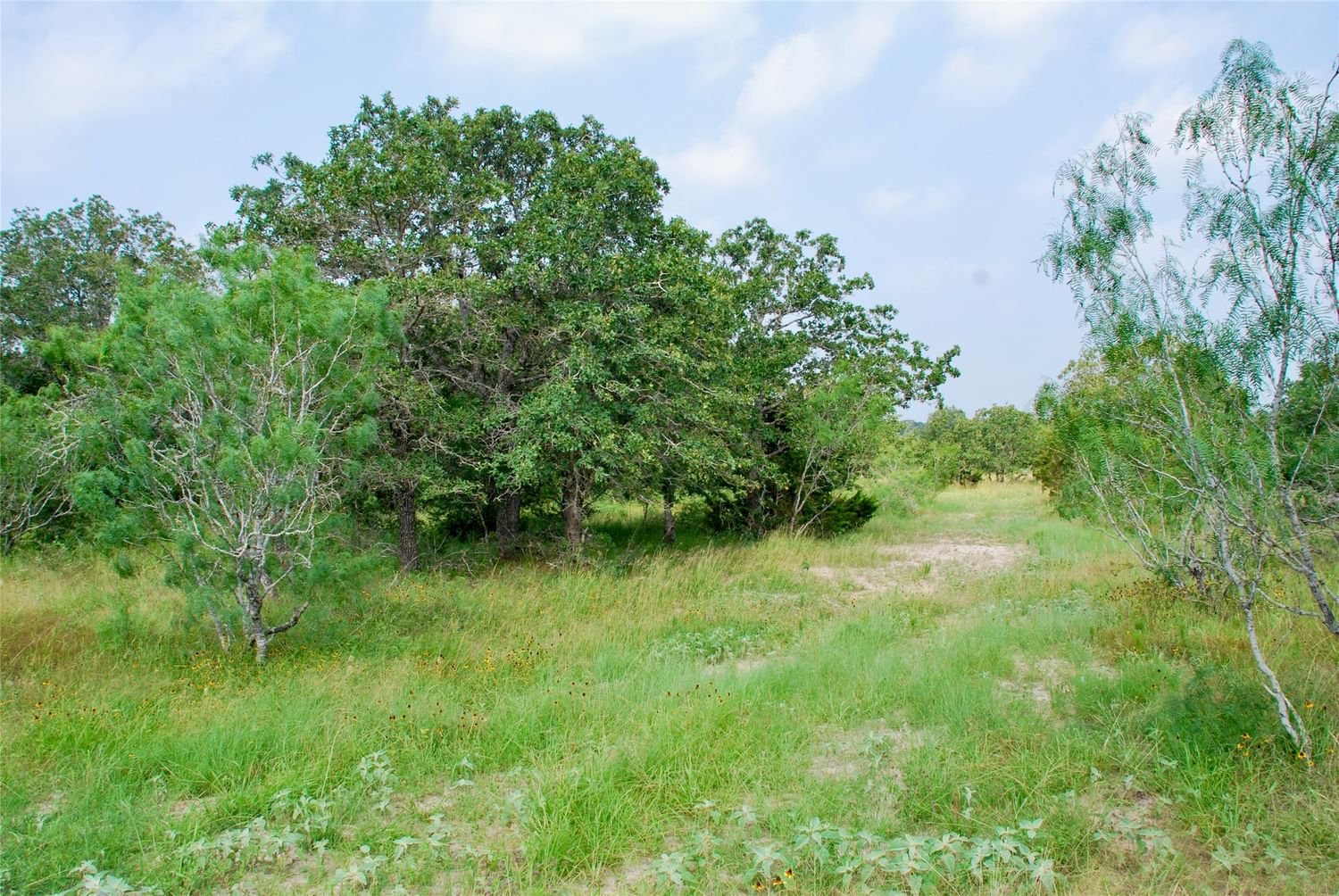 Real estate property located at 3040 County Rd 397, Gonzales, T Barnes Surv Abs #112, Moulton, TX, US