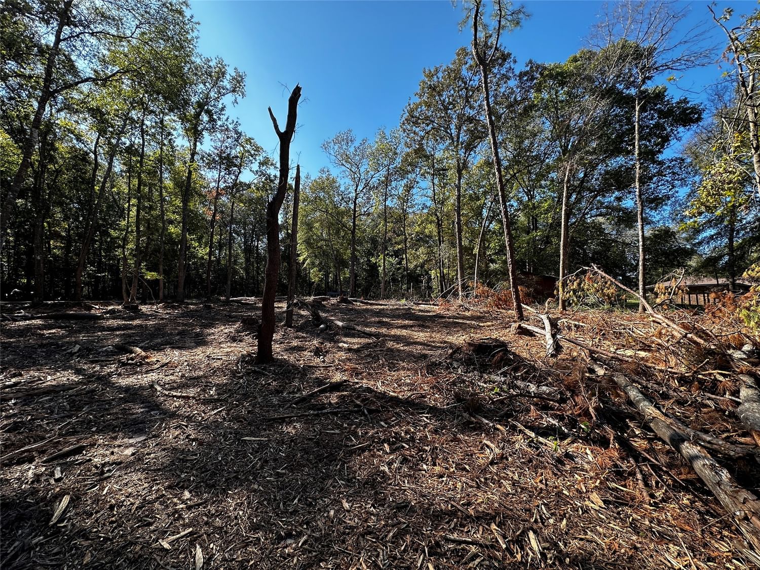 Real estate property located at 0 Newton, Montgomery, Conroe, TX, US