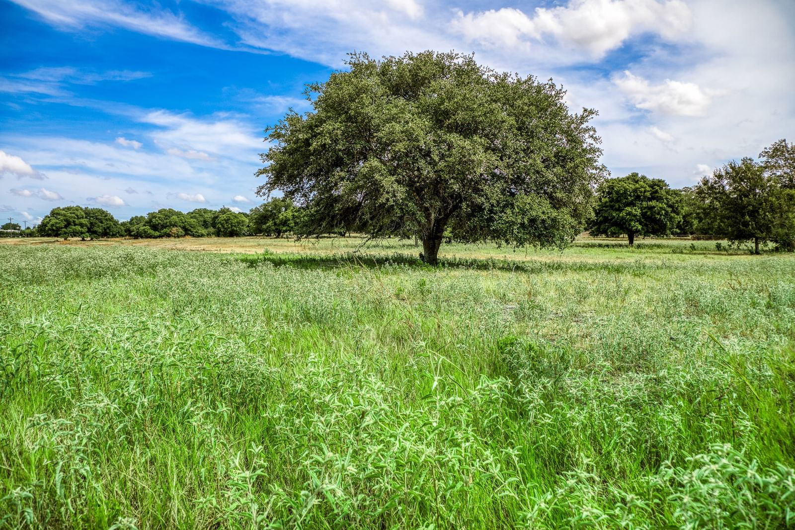 Real estate property located at TBD North Oilfield Rd, Austin, A049 / A049 JOHN HODGE, Brenham, TX, US