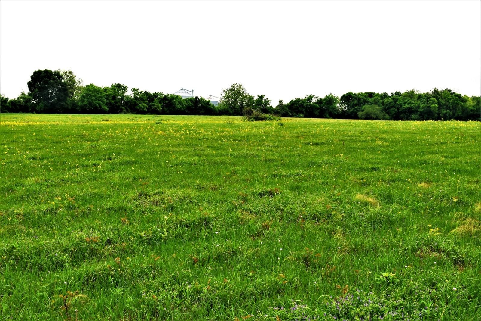 Real estate property located at Hwy 59 Southside Hwy 59, Wharton, Hungerford, TX, US
