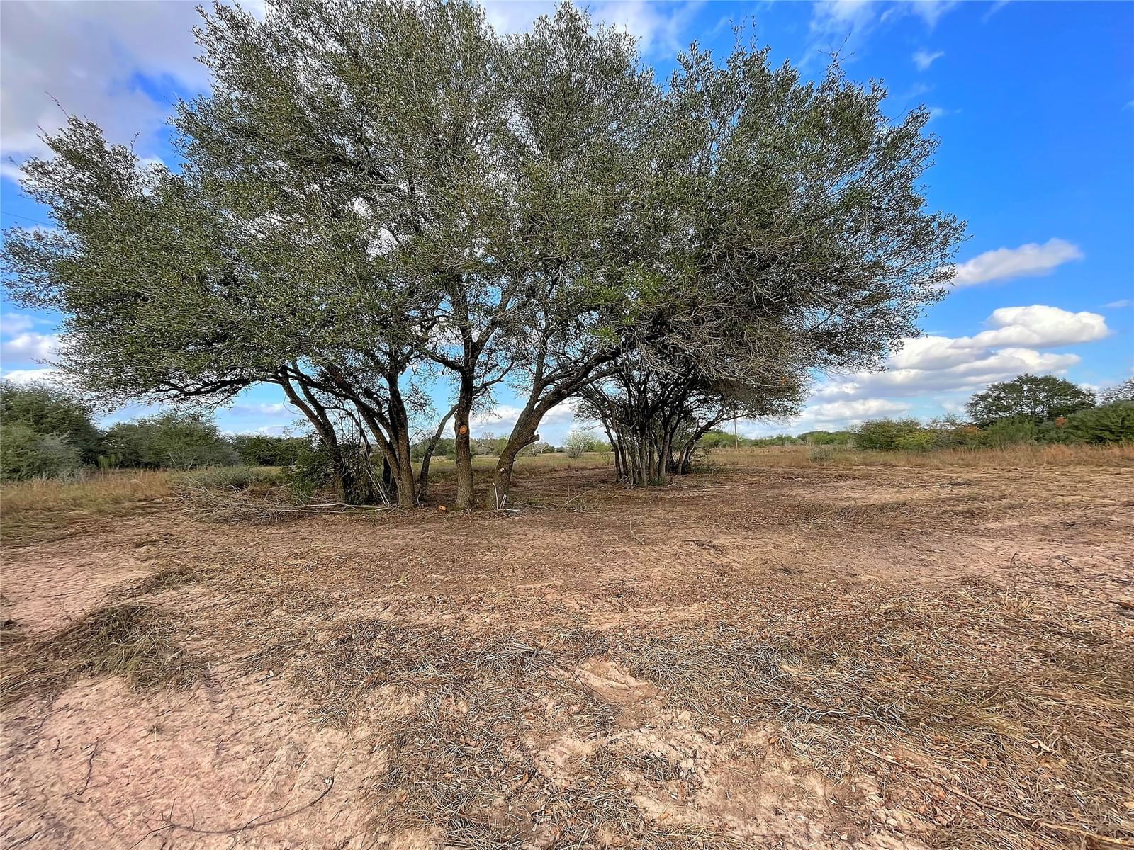 Real estate property located at Tract 1 Hwy 71 South / CR 102, Colorado, NA, Columbus, TX, US