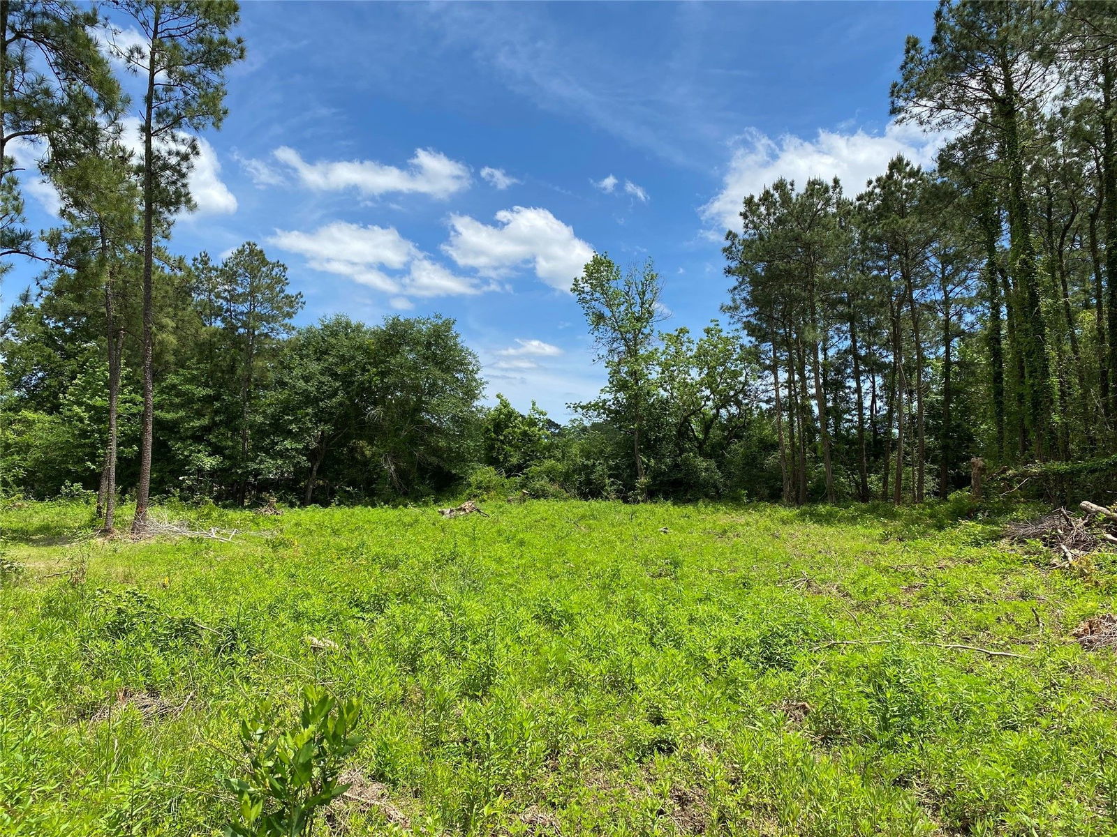 Real estate property located at 185 Shoemaker, San Jacinto, Shepherd, TX, US