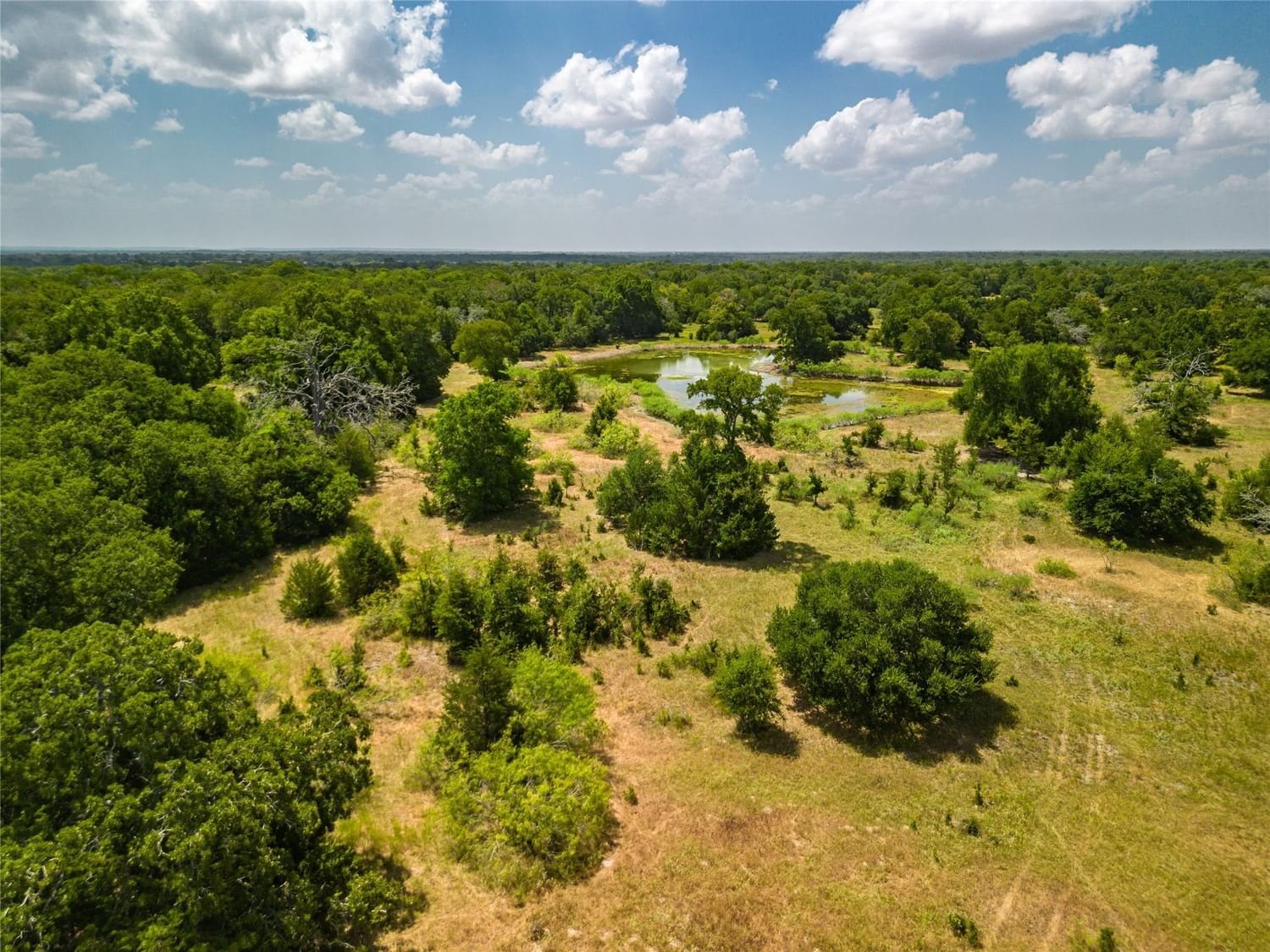 Real estate property located at 0 County Road 132, Burleson, N/A, Somerville, TX, US