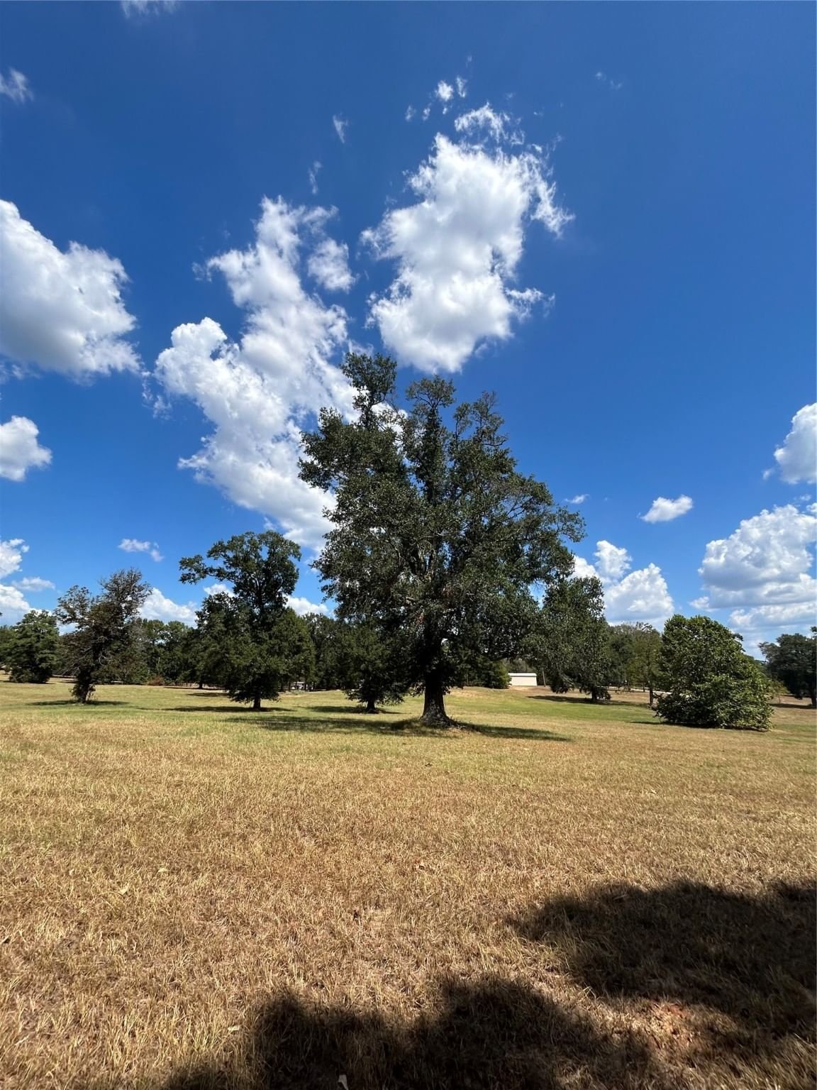 Real estate property located at LOT 5 Easy Street, Polk, Livingston, TX, US