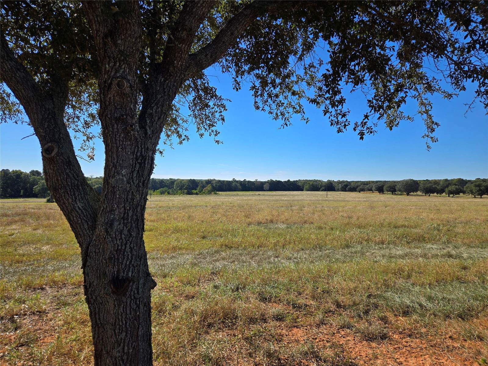 Real estate property located at Lot 103 Lakeland, Tyler, Lakeland Ranch Sec 2, Hillister, TX, US