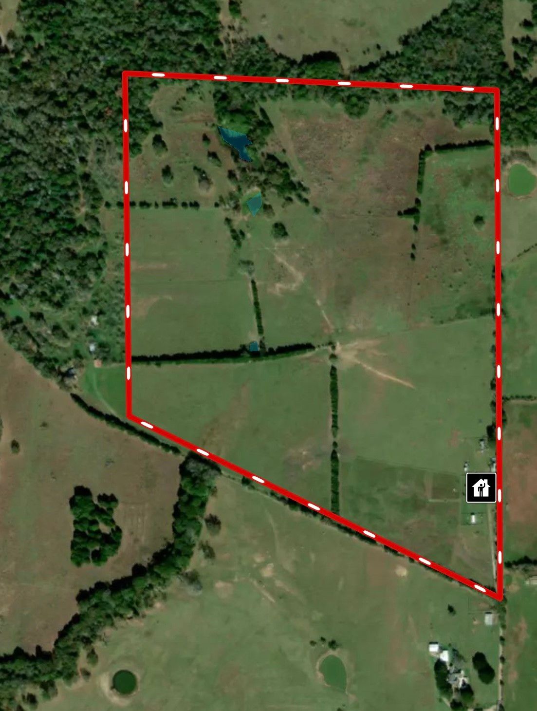 Real estate property located at 491 Lcr 437, Limestone, Mexia, TX, US