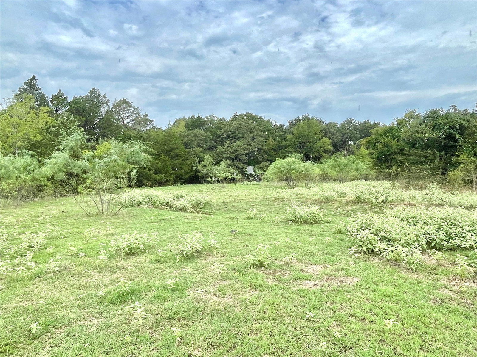 Real estate property located at 491 Lcr 437, Limestone, Mexia, TX, US