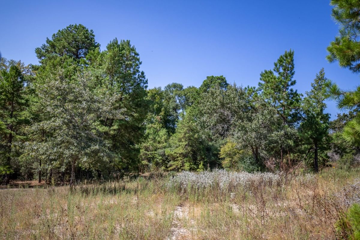 Real estate property located at TBD Pr 1425, Leon, Centerville, TX, US