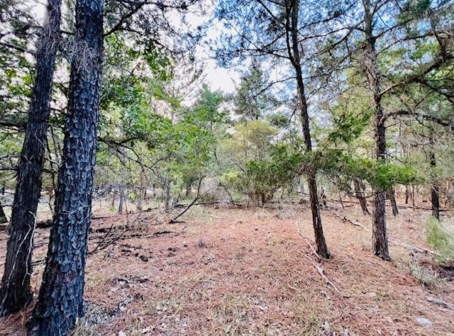 Real estate property located at TBD Clear Lake, Fayette, Clear Lake Pines - Sec 3, La Grange, TX, US