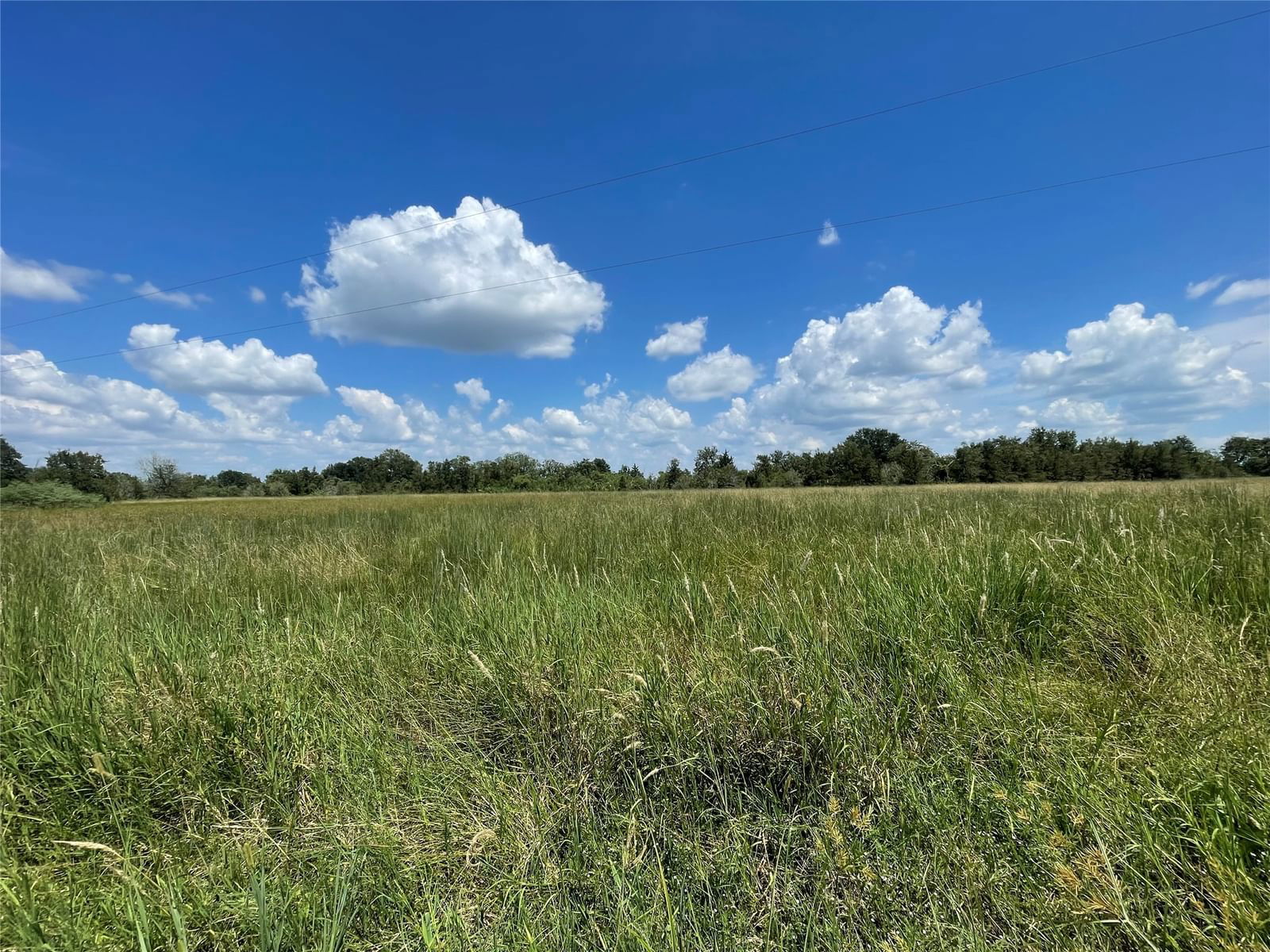 Real estate property located at TBD Tx-36/Hatton, Fort Bend, Shelby-Frz-Mccorm, Wallis, TX, US