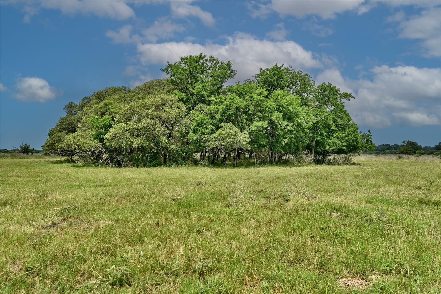 Real estate property located at 000 FM 609, Fayette, A076 - MULDOON M #14 LG, Flatonia, TX, US