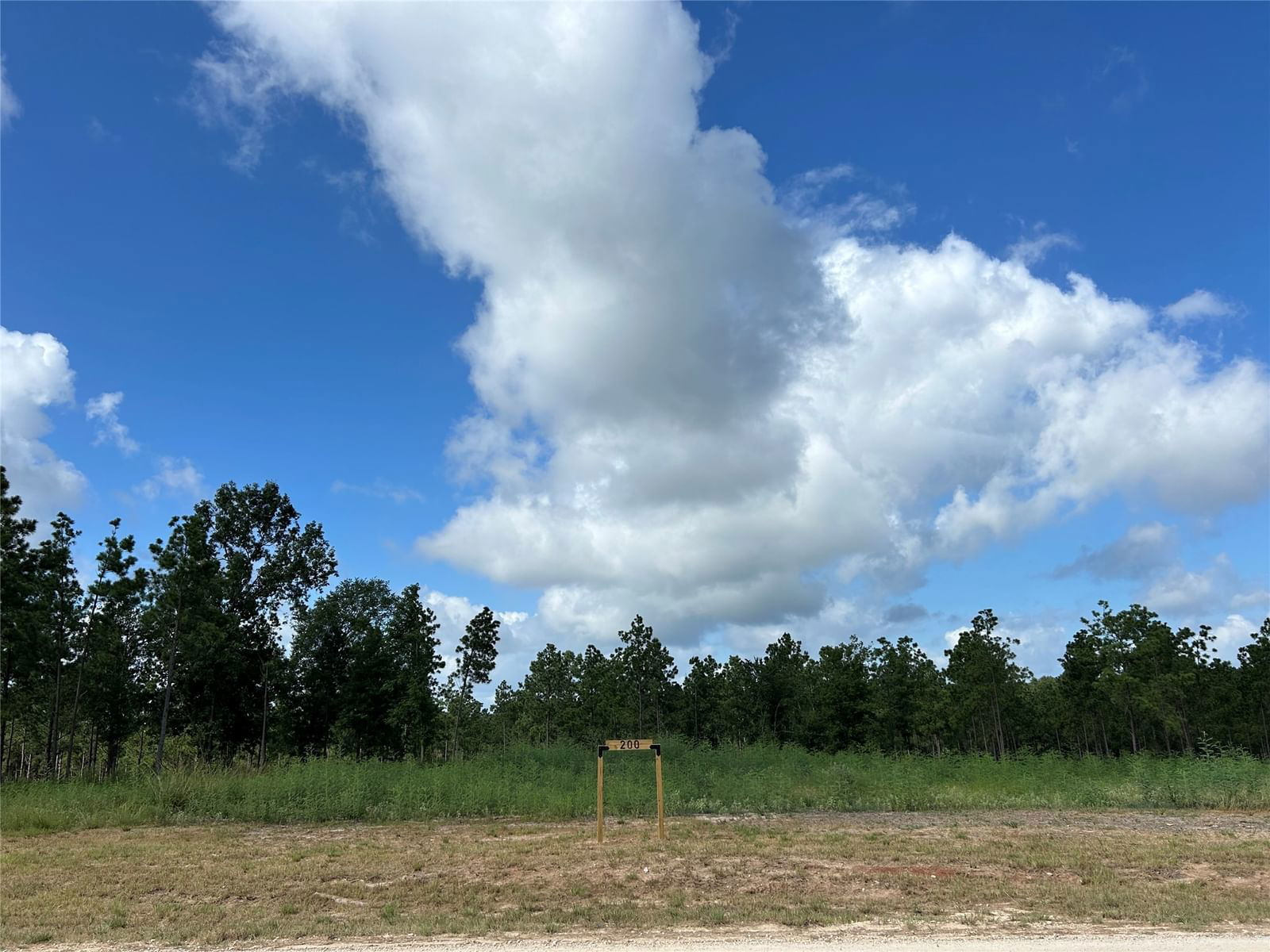 Real estate property located at 200 Aggie, Polk, Rolling Pines Sec 02, Livingston, TX, US