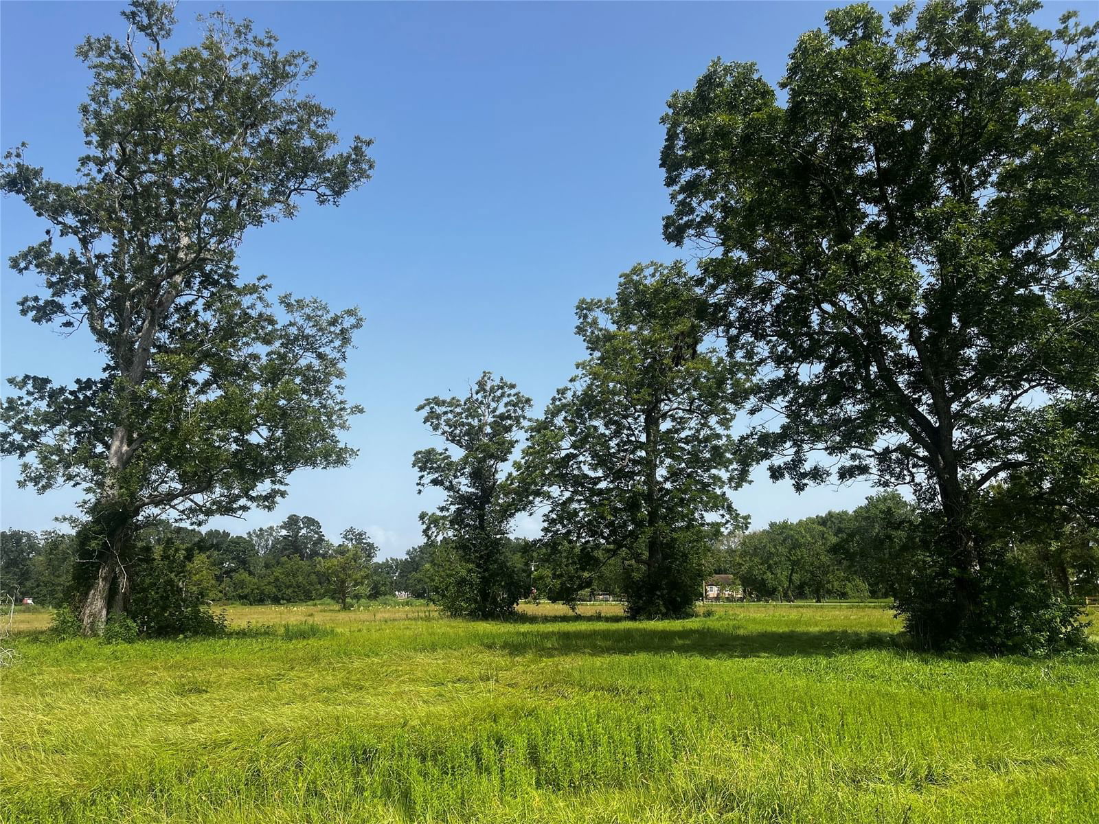 Real estate property located at TBD County Road 2089, Liberty, Milam Ranch, Liberty, TX, US